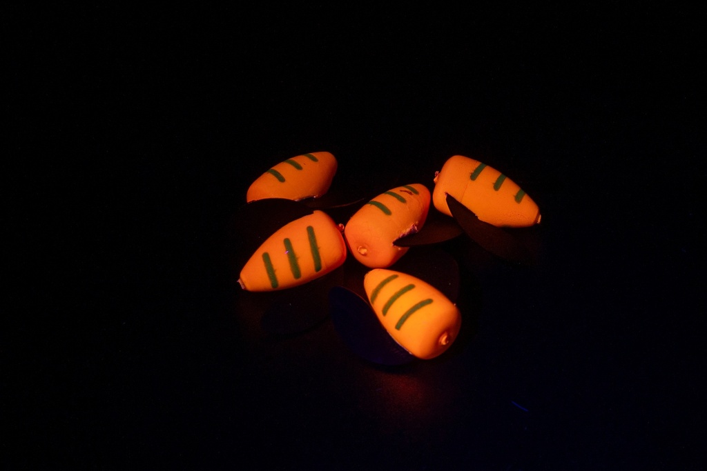 Orange Black Tiger